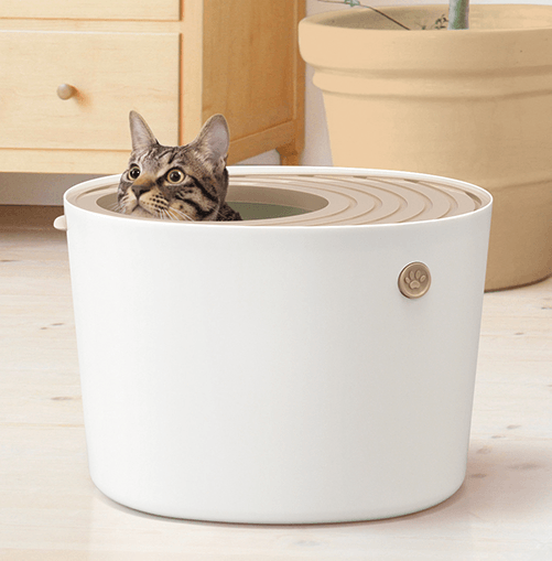 ペットは家族：室内で飼うための商品