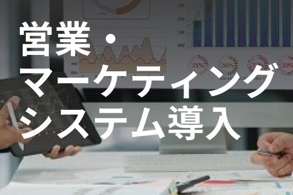 最適システムの導入/既存システムの最大活用を通して、営業・マーケティングの生産性向上を図る